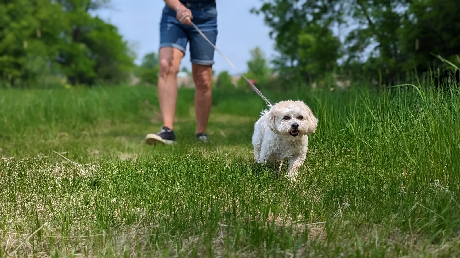 Nature Walks at Ruffin Inn