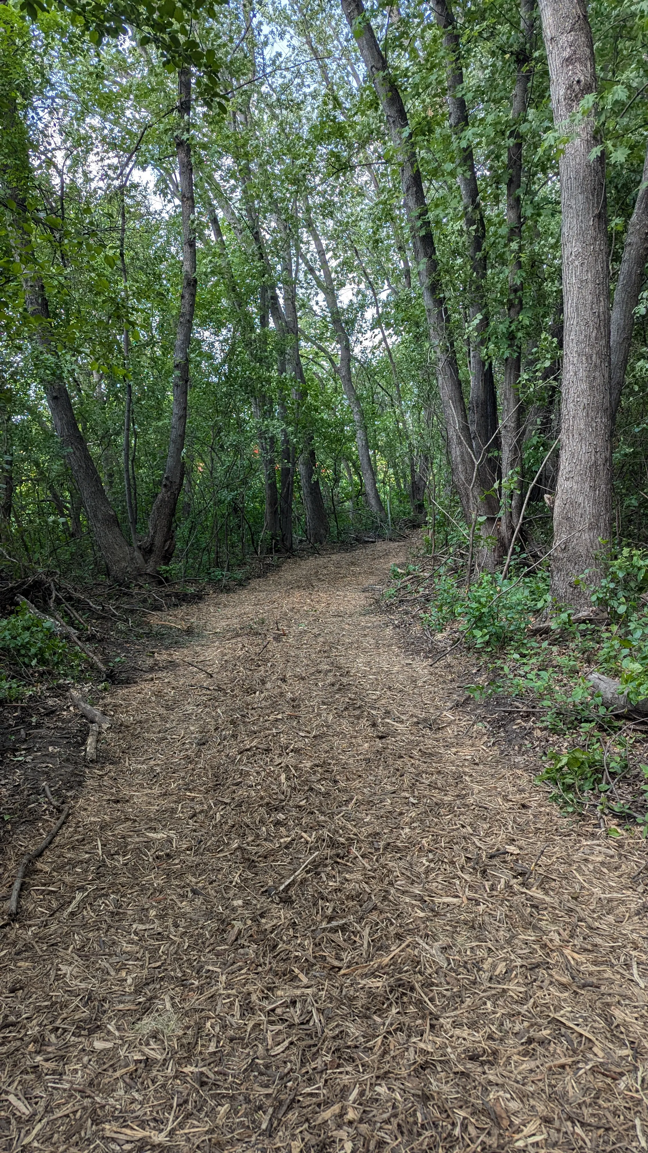 Nature Walks at Ruffin Inn — photo 4