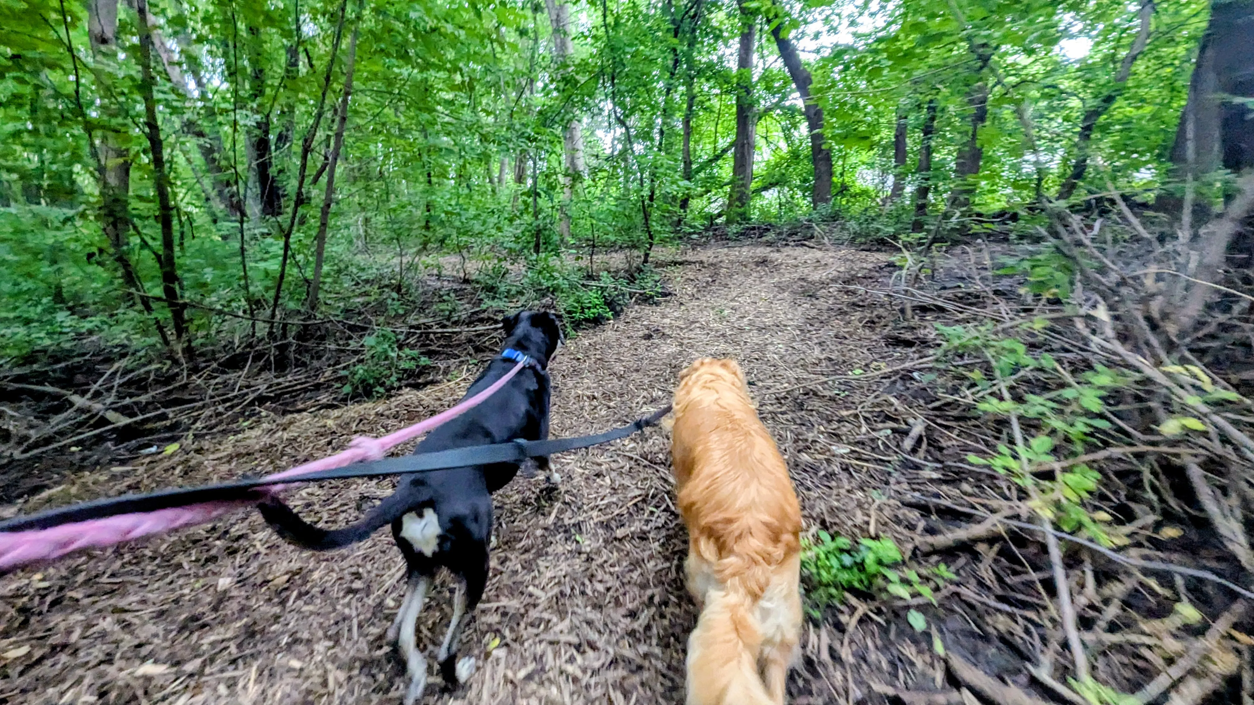 Nature Walks at Ruffin Inn — photo 6